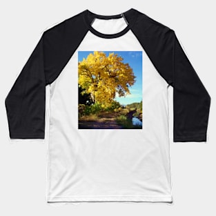 Fall Along the Ditch Baseball T-Shirt